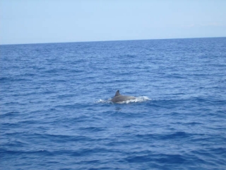  Fantastic encounters 